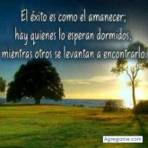Carlos Torres Agurto