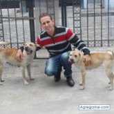 michaelwalker chico soltero en Samborondón