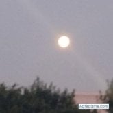 Busco ligar. Mujeres bellas buenas