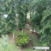 josacevedo6596 chico soltero en El Chorrillo