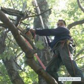 Chuys8 chico soltero en Bolingbrook