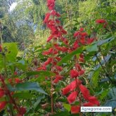 Busco pareja. Mujeres. De pocas