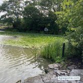 Daviduno chico soltero en Chicago