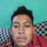 bertinnava