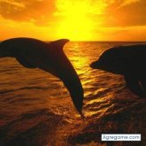 chemaalvarez chico separado en Cuilapa