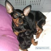 B3ESOS foto #25