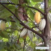 Josealberto1980 foto #6