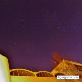 Angelillogrillo chico soltero en Ferrol