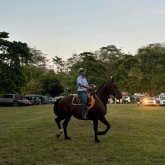 carlosvillalobos8624