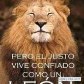MANUELR99