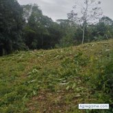 Keenry chico soltero en Puerto Cortez