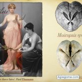 Empleado. Busco pareja. Busco chicas.