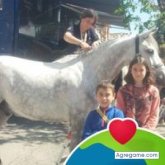 José Antonio Cuevas Villora