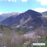 fercha38 chico soltero en Barcelona