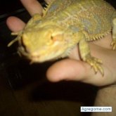 jesusgarcia chico soltero en Parla