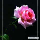 mariesther chica soltera en 