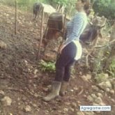 Foto de perfil de marialinares6338