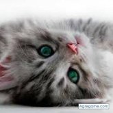 Chatear con romanfonseca de Nandaime