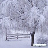 Chatear con HONESTY78 de Miami