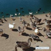 Chatear con mauroduran de Lancaster