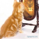 makflay chico soltero en Madrid