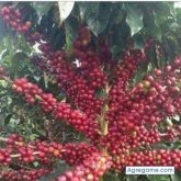 Chatear con mejia1979 de Lubbock