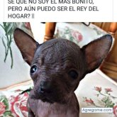 Neldys chico soltero en 