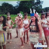 Siul