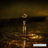 AlexStrecci chico soltero en El Tingo