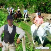 Encuentra Hombres solteros en Castilla