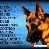 Foto de perfil de julioangelalbarran