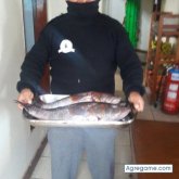 98345327 chico soltero en Ilo