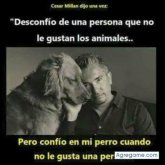 Chatear con walterromano de Salta Ciudad