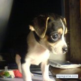 maitretsandeo foto #9