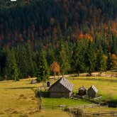 Busco pareja. Mujeres bwjs. No se