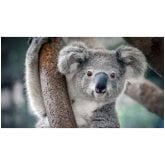 Ingeniero. Busco hacer amistades. Una