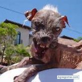 sombra2 chico soltero en San Rafael