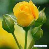 juanjosesosa chico soltero en Don Torcuato