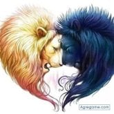 Busco conocer gente. Mujeres. Divertido.