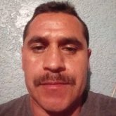 Edu Vega