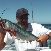 koblack chico soltero en Mar Del Plata