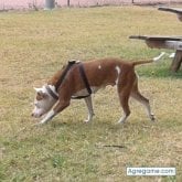 Foto de perfil de xenaoker