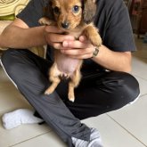 m1998 chico soltero en Ensenada