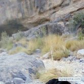 shah61899 chico soltero en 