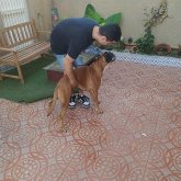 Foto de perfil de Krm97