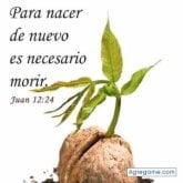 Busco pareja. Chicas. Buena personas.