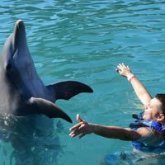 Busco pareja. De Pereira.