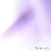 Chatear con yezid67 de Barcelona Quindío