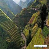 Milton Julca Aguirre