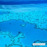 josigale chico soltero en Quillacollo